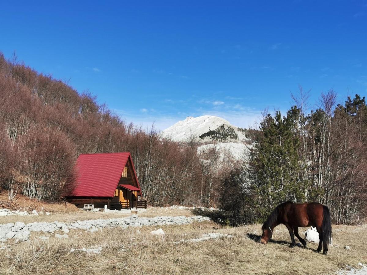 Breeze Home Cottage 센틴제 외부 사진